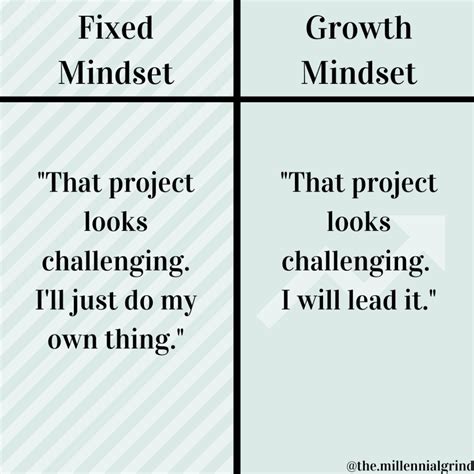 18 Fixed Mindset vs Growth Mindset Examples | THE MILLENNIAL GRIND