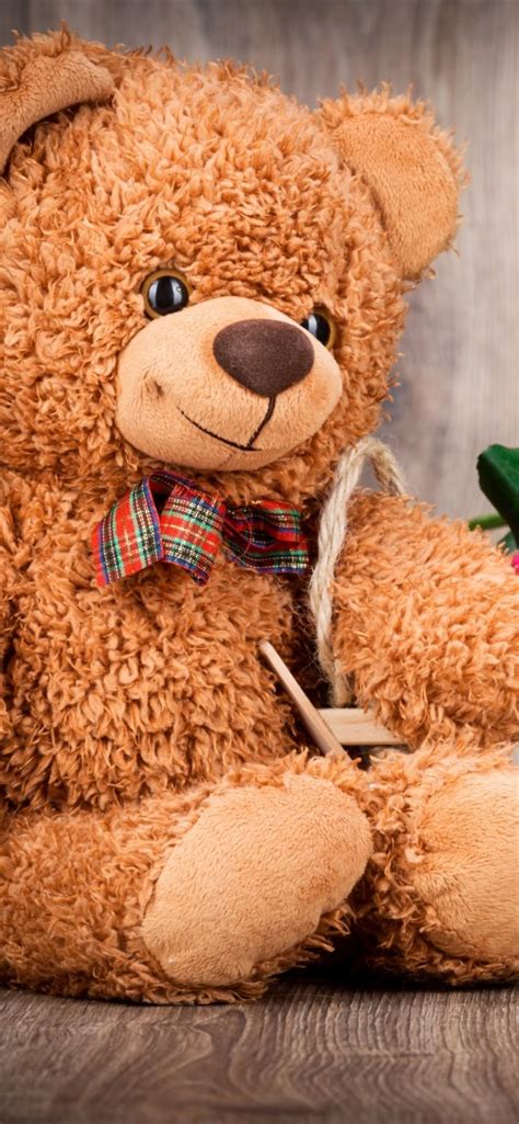 Iphone Wallpaper Teddy Bear And Colorful Roses, Romantic - Thank You Friendship Teddy Bear ...