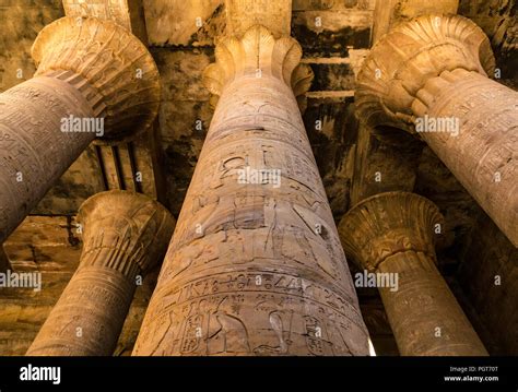 Looking up at carved floral capitals of stone columns in hypostyle hall ...