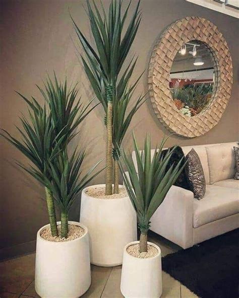 Decoración con plantas | Living room plants, House plants decor, Plant ...