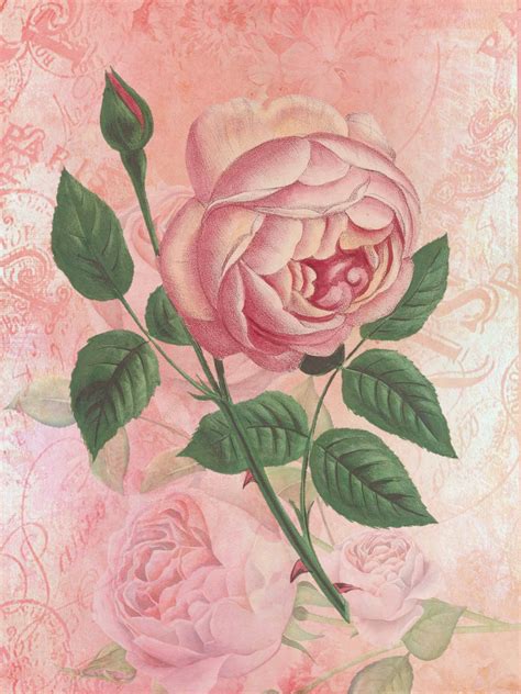 Vintage Floral Rose Art Free Stock Photo - Public Domain Pictures