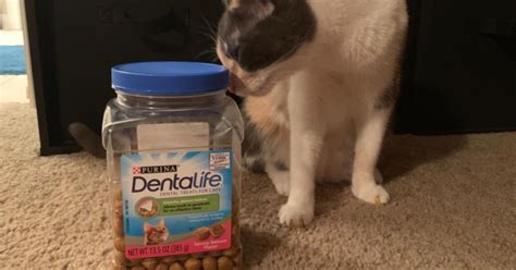 Purina DentaLife Adult Cat Treats Only $3.51 Shipped on Amazon ...