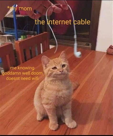 Where can I find this smug cat? : r/MemeTemplatesOfficial