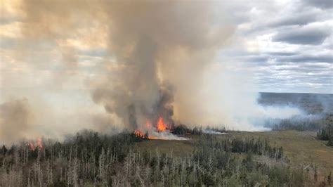 Crews battle 2 'erratic' forest fires near Barrington | CBC News