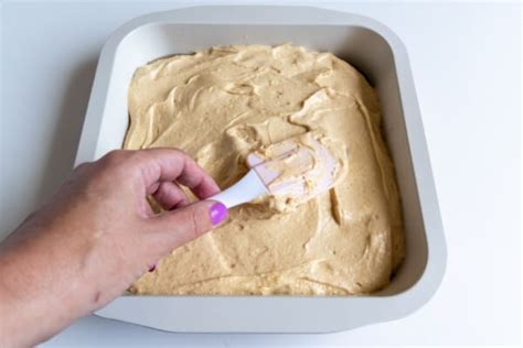 Cake Batter Consistency: 11 Types of Cake Batters & Thickness