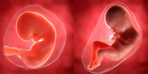 Baby Born in Amniotic Sac Spiritual Meaning