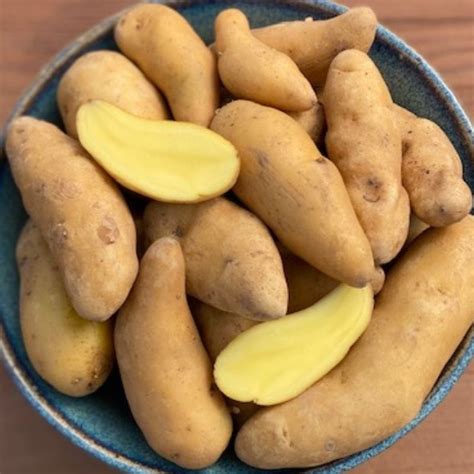 Russian Banana fingerling potato seed Organic seeds vegetables fruit ...