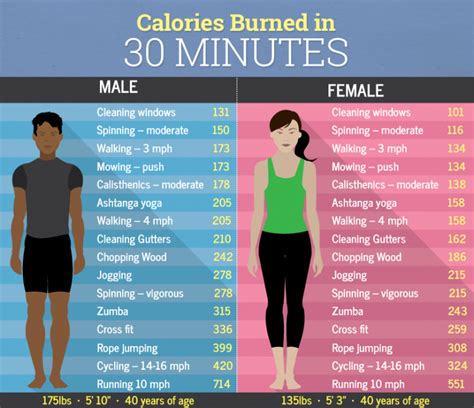 Calories Burned In 30 Minutes - Male vs Female - Fitneass