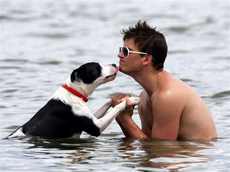 Owning a dog can make men more attractive, study suggests | The ...