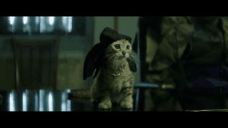 Here Are All The 'Keanu' Trailer Cat Scenes, Because Cats — VIDEO | Bustle