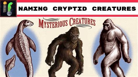 Taxonomania. Naming cryptid creatures! | Cryptid creatures, Creatures ...