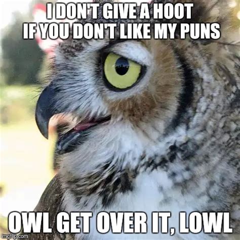 Owl Related Puns Owl doesn't give a hoot : r/shittyadviceanimals