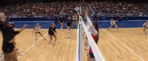 Volleyball GIFs | Tenor