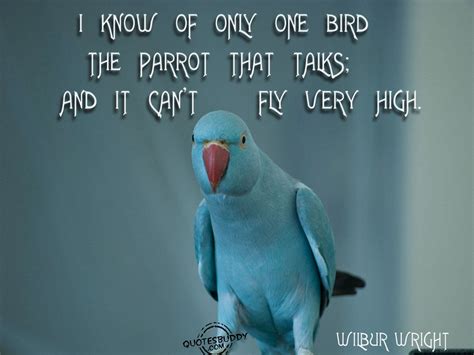 Funny Pictures Gallery: Bird quotes sayings, bird quotes and sayings