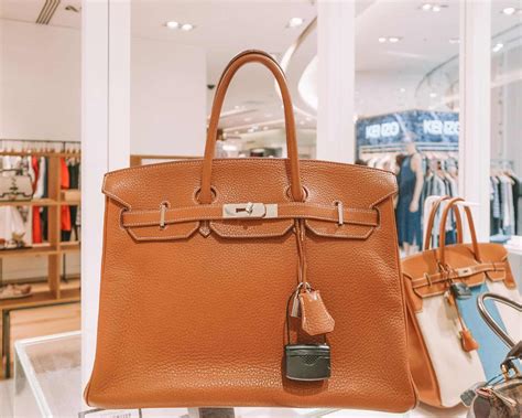 Best Luxury Bag To Buy In Paris Jackson | semashow.com