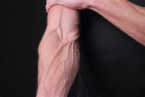 Veins Bilder – Durchsuchen 338,086 Archivfotos, Vektorgrafiken und Videos | Adobe Stock