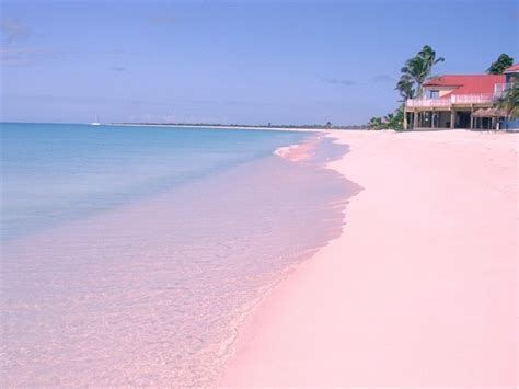 The Unique Pink Sands Beach in Harbour Island, the Bahamas - Places To See In Your Lifetime