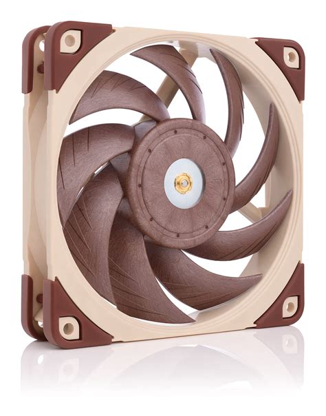 Buy NoctuaNF-A12x25 PWM, Premium Quiet Fan, 4-Pin (120mm, Brown) Online ...