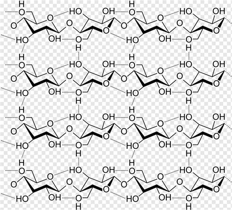 Cellulose Structure Hydrogen bond Carbohydrate Polysaccharide, cellulose, angle, white, text png ...