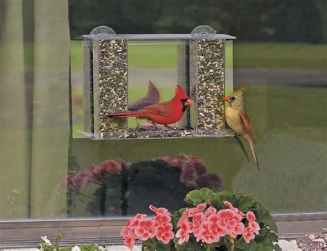 Duncraft One-Way Magic Mirror Window Bird Feeder » Gadget Flow