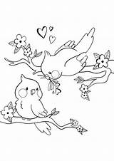 Free & Easy To Print Bird Coloring Pages  coloring sketch template