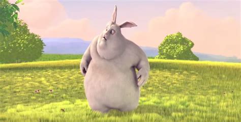 The Big Buck Bunny Animation on Youtube.com