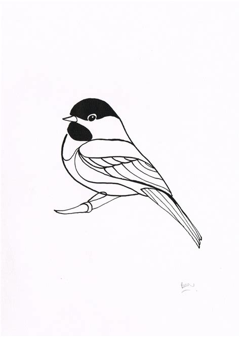 Black Capped Chickadee Drawing at GetDrawings | Free download