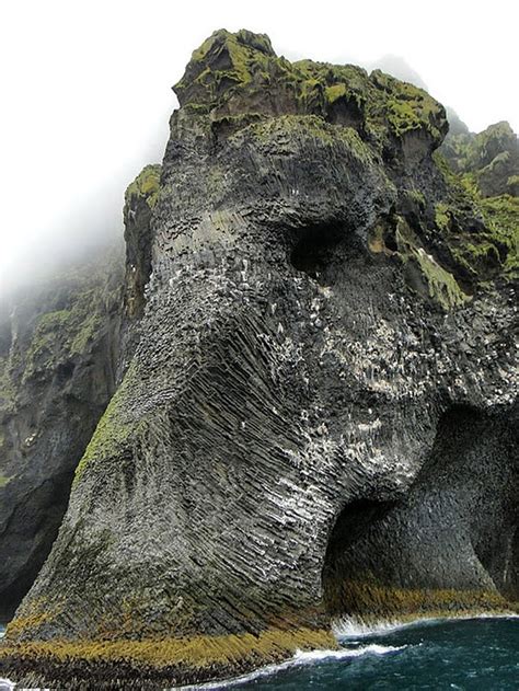 Giant Sea Elephant Emerges From The Ocean In Iceland | Bored Panda