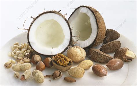 Assorted nuts - Stock Image - C055/9760 - Science Photo Library