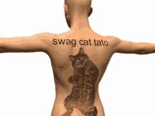 Swag Cat PFP - Swag Cat Profile Pics