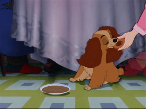 What Kind Of Dog In Lady And The Tramp - Pets Lovers