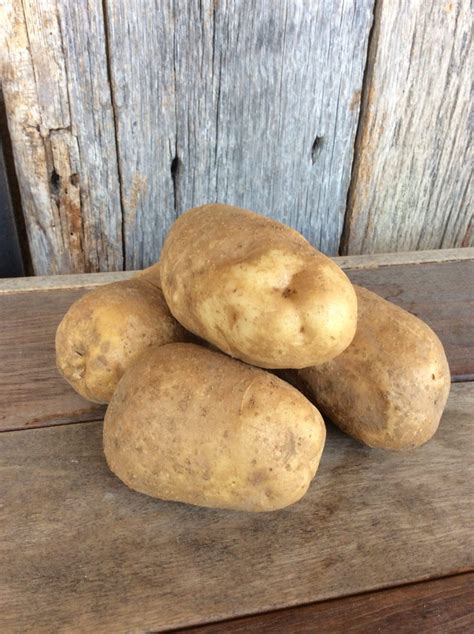 Potato, Kennebec – Glade Road Growing