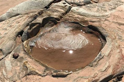 How, where & when to see Broome’s Dinosaur Footprints - AOC