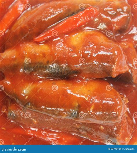 Sardines in Tomato Sauce stock photo. Image of meal, tasty - 53778134