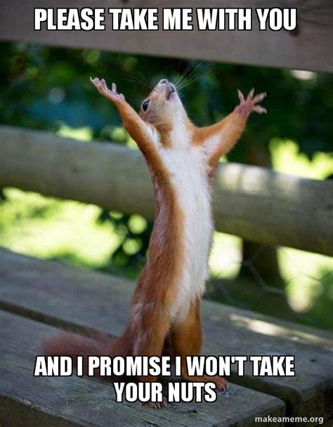 Please take me with you And i promise i won't take your nuts - Happy Squirrel | Make a Meme