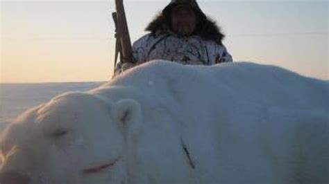 Tuktoyaktuk hunter brings down massive polar bear | CBC News