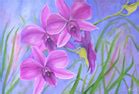 Tropical Flower Oil Paintings