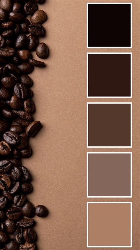 Rich Coffee Bean Color Palette