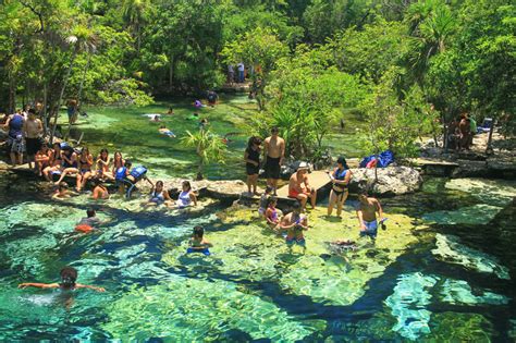 Un cenote que parece una piscina azul a cielo abierto en la Riviera Maya (Cenote Azul) - 101 ...