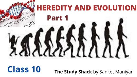 Heredity & Evolution part 1- Science 2 Class 10 Chapter 1 - YouTube