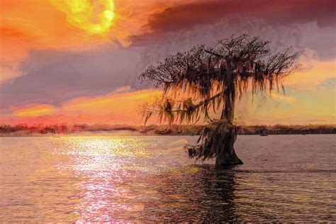 Lake Martin Louisiana Sunset Reflections Photograph by Norma Brandsberg - Fine Art America