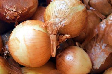 What Are the Health Benefits of Onion Powder? | livestrong