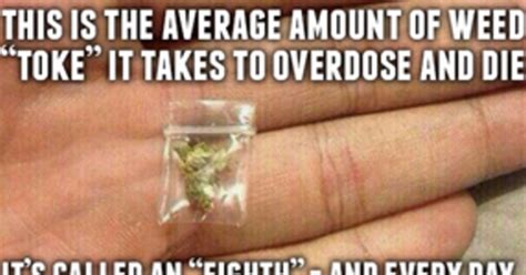 These Memes Highlight an Undeniable Fact About Weed - ATTN: