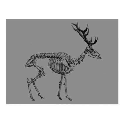 an animal skeleton is shown in this black and white drawing, it appears to be a deer with large ...