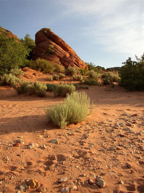 utah desert | Desert places, Places to see, Natural landmarks