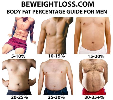 Commerciale fino ad ora appostarsi body fat percentage examples Plausibile vanga benessere