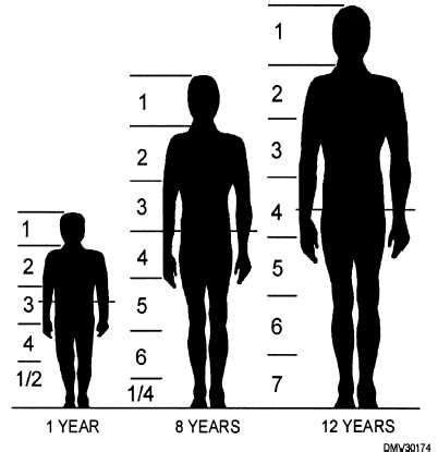 little boy body proportions - Google Search | Body proportions, Human silhouette, Human