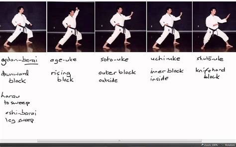 Karate Terminology: Basic Blocks Part 1 | Karate, Karate moves ...