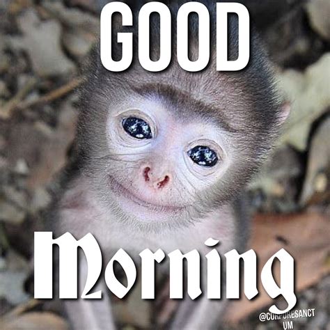 Ridiculous Good Morning Memes for Kids | Funny good morning memes, Morning memes, Kid memes