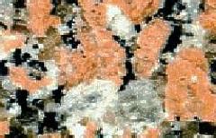 Igneous Rock Textures